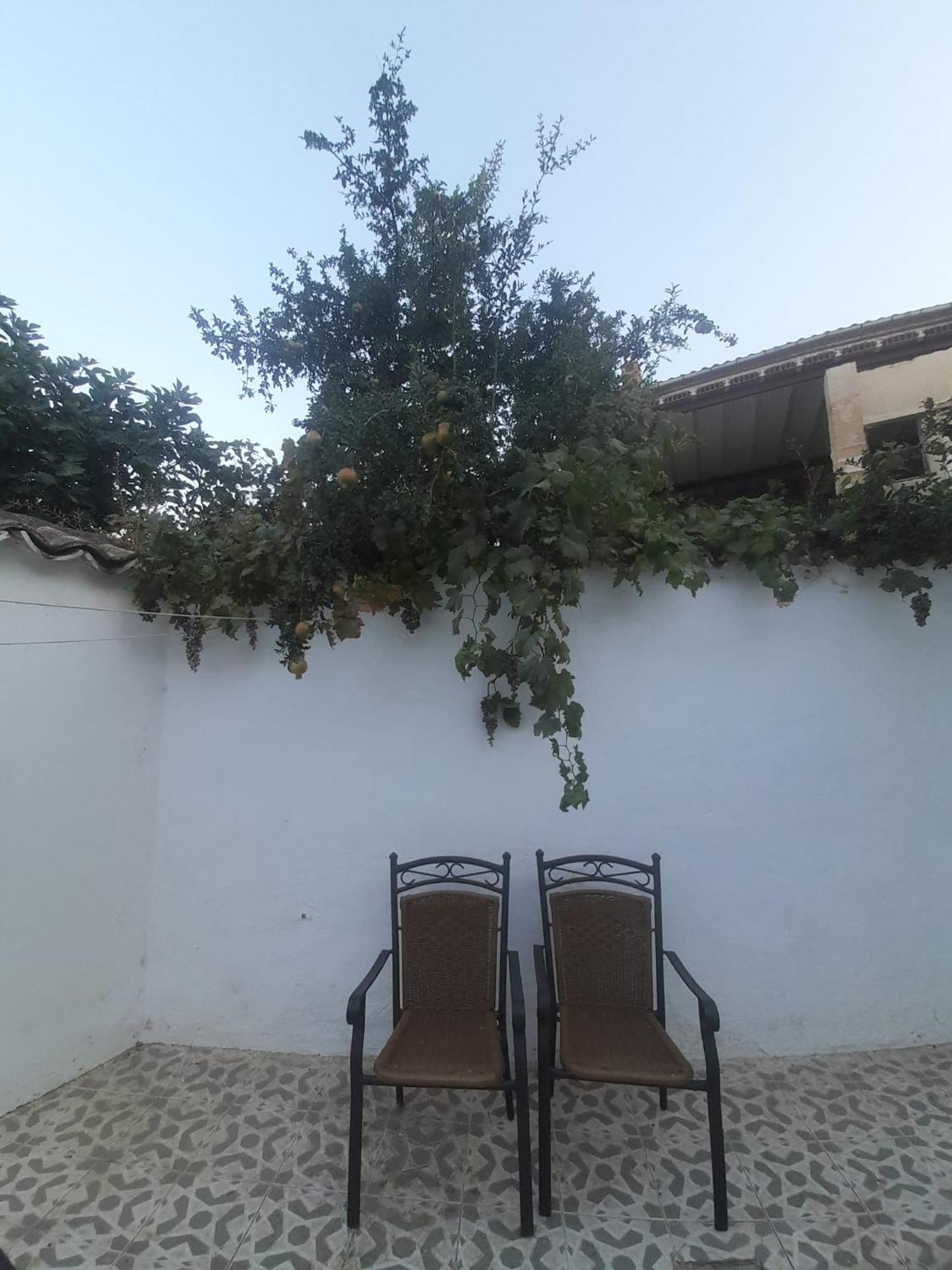 El Molino De Aceite Villa Baeza Buitenkant foto